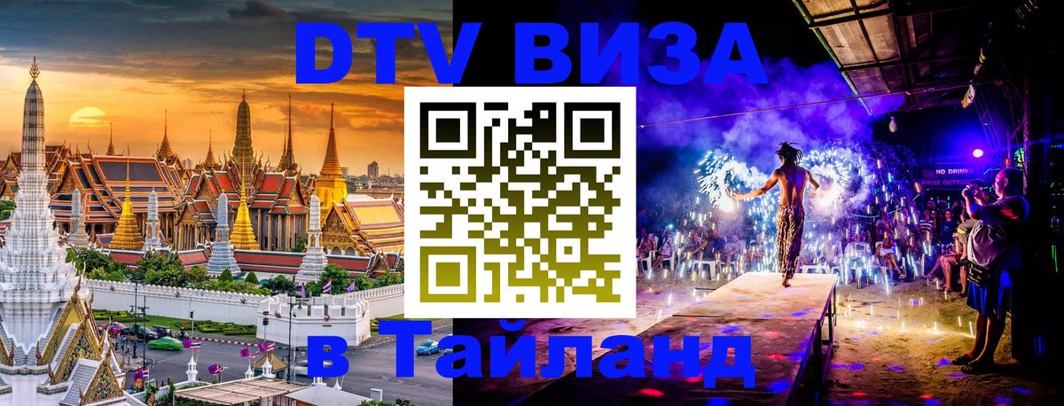 Оформление DTV визы под ключ: стоимость и тарифы, только загранпаспорт - 